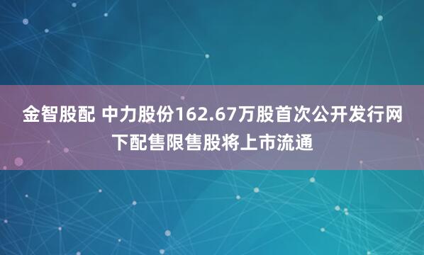 金智股配 中力股份162.67万股首次公开发行网下配售限售股将上市流通