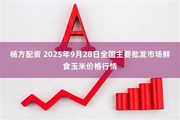 杨方配资 2025年9月28日全国主要批发市场鲜食玉米价格行情
