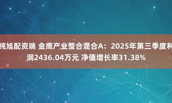 纯旭配资端 金鹰产业整合混合A：2025年第三季度利润2436.04万元 净值增长率31.38%