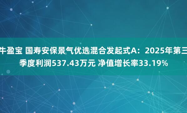 牛盈宝 国寿安保景气优选混合发起式A：2025年第三季度利润537.43万元 净值增长率33.19%